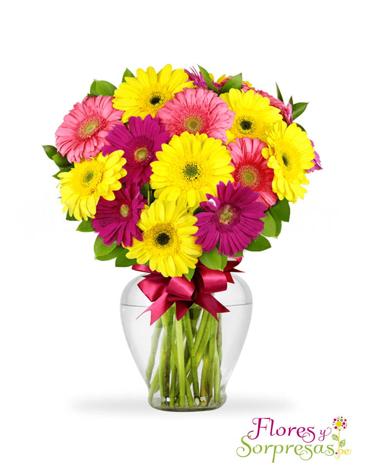 Felicidad Multicolor con Gerberas